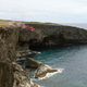 Image for article titled Experts Caution New Car Loses 90% Of Value As Soon As You Drive It Off Cliff
